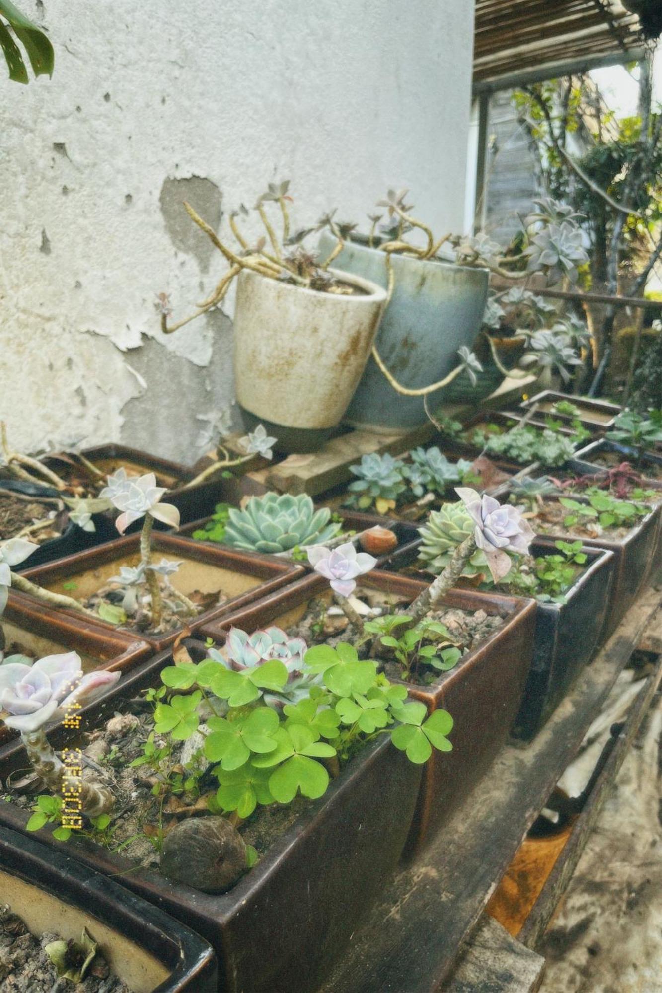 Nap Da Lat Apartment Luaran gambar