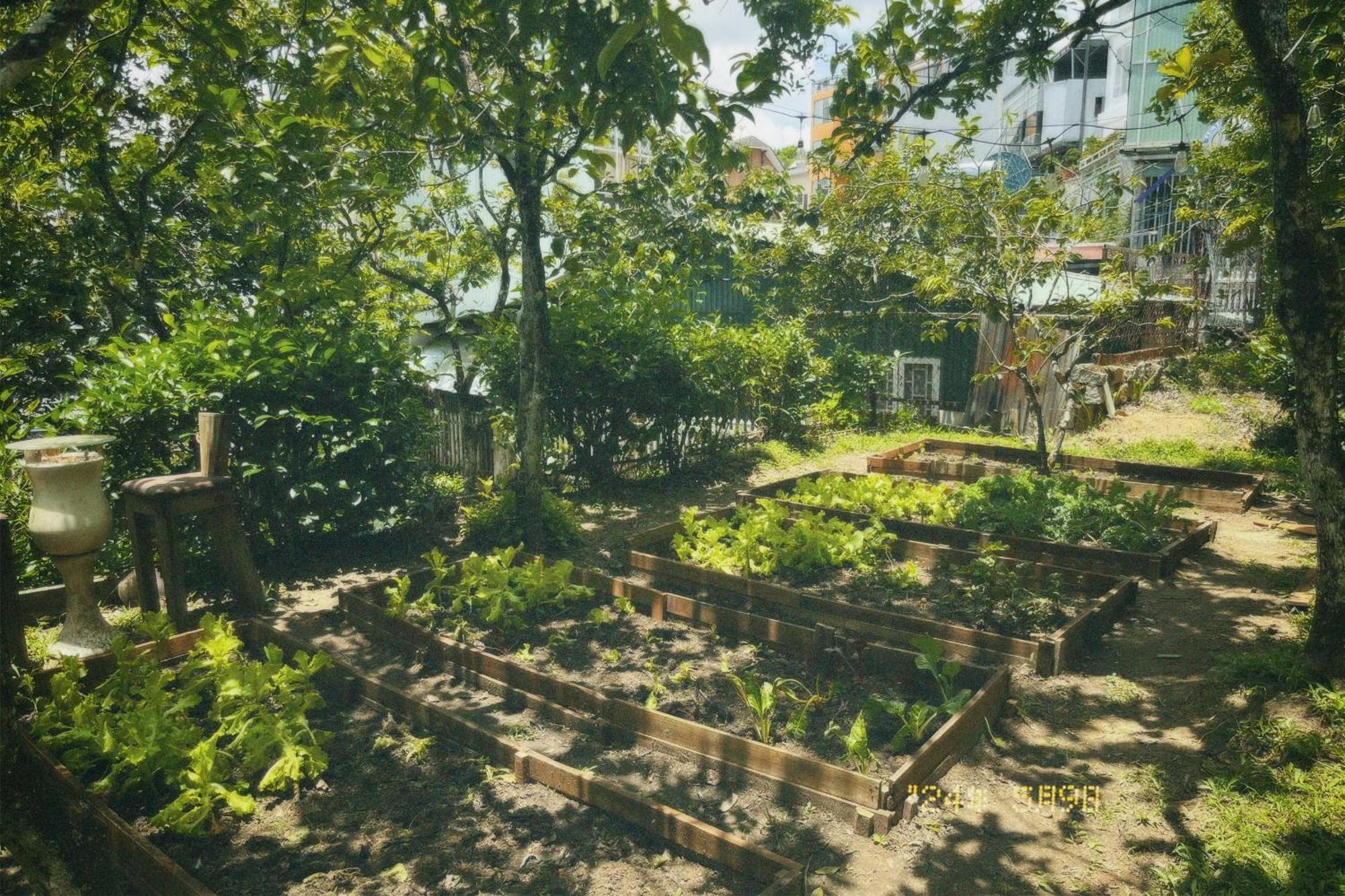 Nap Da Lat Apartment Luaran gambar